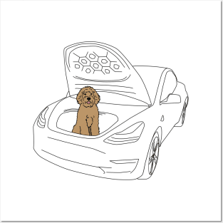 Labradoodle in a Tesla Model 3 Frunk Posters and Art